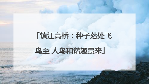 镇江高桥：种子落处飞鸟至 人鸟和谐趣景来